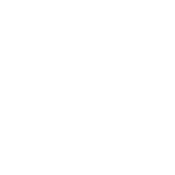 Festo Logo