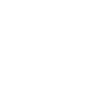 MAN Logo