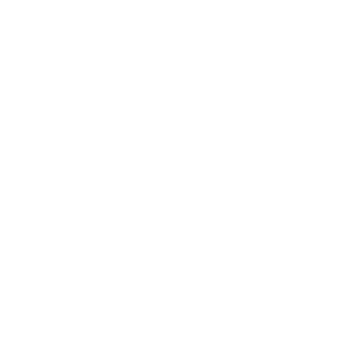 Voith Logo