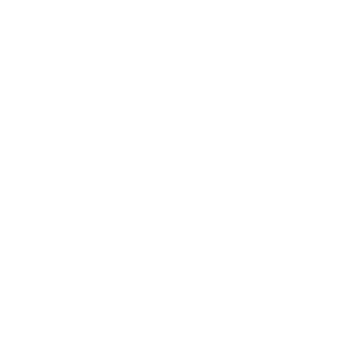 ZF Logo